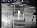 Pedestrian detection in the crosswalk