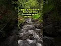 Download Lagu SABAR ITU INDAH, ALLAH BERSAMAMU