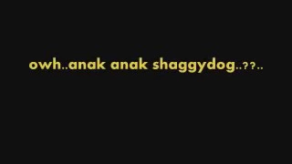 Download kumpulan shaggy dog MP3