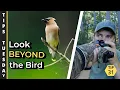 How to Anticipate Better Backgrounds in Wildlife Photography Tips Tuesday 31