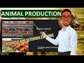 INTENSIVE FARMING EXTENSIVE FARMING ANIMAL PRODUCTION LESSON