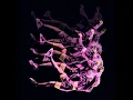 End Of Time (Justin Caruso Remix)
