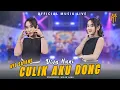 Download Lagu Ayo Sayang Culik Aku Dong -  Diva Hani  (Official Music Live)