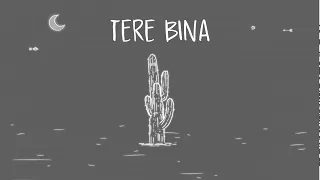 AUR - TERE BINA (Official Visualizer)