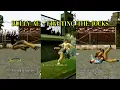 Mod Fighting Style Jocks Bully AE