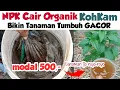 Download Lagu Pupuk NPK PLUS KohKam Buatnya Mudah Manfaatnya Selangit