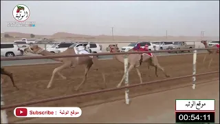 الشوط 12 الشاهينيه لـ محمد حمد راعي قحير الدرعي 1 43 16 شارة الصندوق 2021 6 19 الرقيعات فطامين 