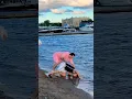 Download Lagu Social experiment ⚠️‼️😰😱 #music #dance #dj #bass #gameplay #funny #prank #comedy #remix #song