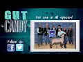 Gut Candy Willoughby Sales Sponsor 2018