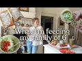 Download Lagu 15 Recipes to Feed Your Family Well! Cooking from Scratch for my Family of 6