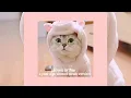 Download Lagu james arthur - a year ago slowed+reverb tiktok version