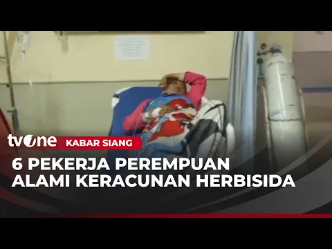 6 Pekerja Perempuan Alami Keracunan Herbisida