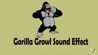 Gorilla Growl Sound Effect 