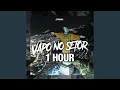 Download Lagu VAPO NO SETOR (1 HOUR)