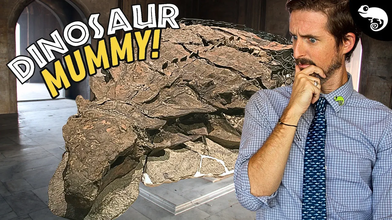 There Are Dinosaur Mummies, and They Are Changing Paleontology Forever!