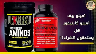 Amino Beef And Amino Carnivore Is It Really Worth Buying 