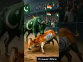 Fierce competition between Indian cow and Pakistani cow💪 #ai #cow #pakistani #india #shorts