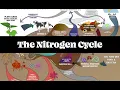 The Nitrogen Cycle pt 1 Regenerative Soil with Matt Powers