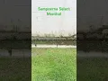 Download Lagu Cigarro Sampoerna
