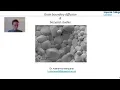 Grain boundary diffusion bicrystal studies - Katharina Marquardt