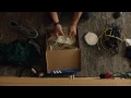 We Are Your Friends (gold song)
