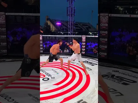 Блестящий дебют Барса #mma #octagon #fighting