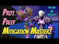 Protection Paladin Guide WoW Dragonflight