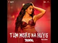 Tum Mere Na Huye - Teaser (From “Thamma”)