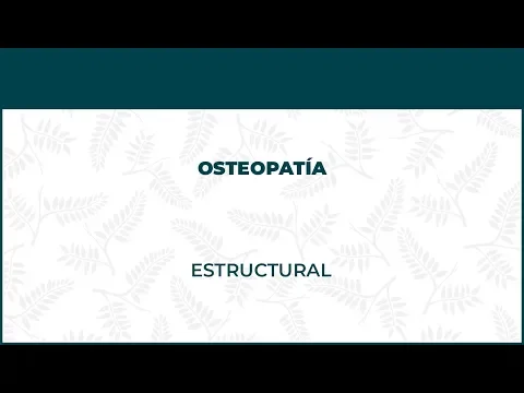 Osteopatía Estructural - FisioClinics Bilbao, Bilbo