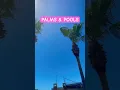 Download Lagu Pool Party Pt. 2 | Hot summer at Lara Beach Antalya #larabeach #antalya #beach #turkish #miracle