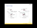 Lecture 7 Java Graphics - 04 drawImage 2