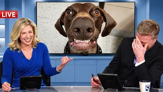 Best News Bloopers August and September 2026