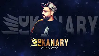 حركة اخرس شلون دنيا سيف عامر ريمكس ديجي كناري 