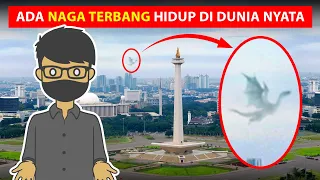 Download PENAMPAKAN NAGA TERBANG DI DUNIA NYATA MP3