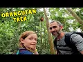 Lagu Orangutan Jungle Trek in Sumatra, Indonesia 🇮🇩 | Kelly Gets Injured 😱