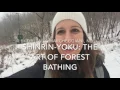Shinrin-Yoku: The Art of Forest Bathing