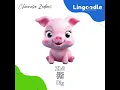 Are you born in the Year of the Pig Zhu - Here s your Chinese Zodiac Sign Lingoodle Learning