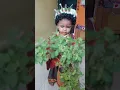 Download Lagu Dhani mala hi dhakhawana vittu rayachi pandhari.....