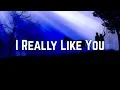 Download Lagu Carly Rae Jepsen - I Really Like You (Lyrics)