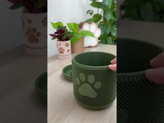 KNURLED PAW PLANTER video thumbnail