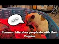 The MOST COMMON MISTAKES with PUPPY WHELPING Day 7 Matt s Kennels