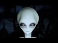 Roblox The Graveyard Experience
