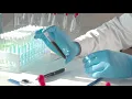 Phlebotomy Careers Unlimited