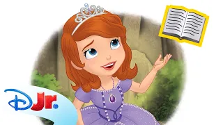 Read Aloud the Sofia the First Book 📖👑 | Bedtime Stories for Kids | Disney Jr.