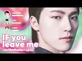 Lagu SEVENTEEN - IF you leave me (Line Distribution + Lyrics Karaoke) PATREON REQUESTED