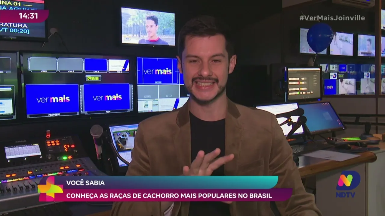 Descubra as raças de cachorro mais populares do Brasil