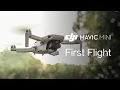 Mavic Mini How to Fly Mavic Mini