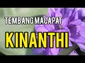 Sekar Kinanthi Subakastawa nalikanira ing dalu, macapat Purwadi