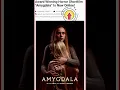 Lagu Award Winning Horror Shortfilm “Amygdala” Is Now Online!
