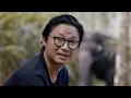 Download Lagu Endangered Wildlife in The Jungle of India | Ep 7.3